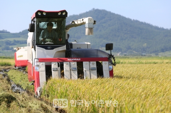 친환경쌀 수확작업(사진=해남군)