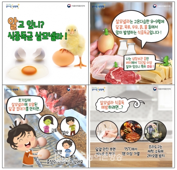살모넬라 식중독 예방법(카드뉴스) / 자료=식품의약품안전처