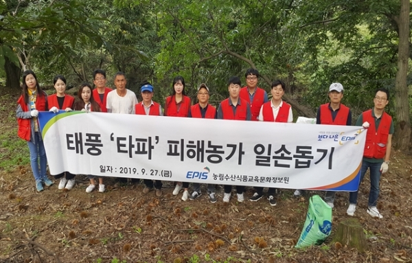 농정원 임직원들이 태풍 피해농가 복구활동을 지원했다. (사진=농정원)
