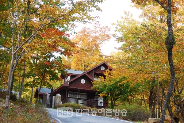 2019년 10월 명품숲으로 선정된 황정산 숲속의 집(사진=산림청)