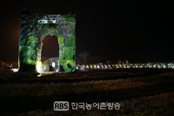 야간에도 개방되고 있는 함평 '2019 대한민국 국향대전'(사진제공=함평군청)