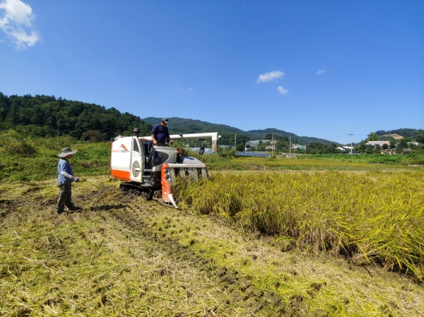 경기도, 쌀·밭·조건불리 직불금 801억원 지급 (사진=경기도)