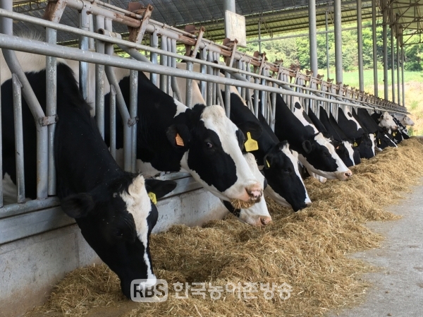 경기도 농기원에서는 친환경적 젖소 착유세정수 처리 기술보급 전개한다.(사진=경기도)