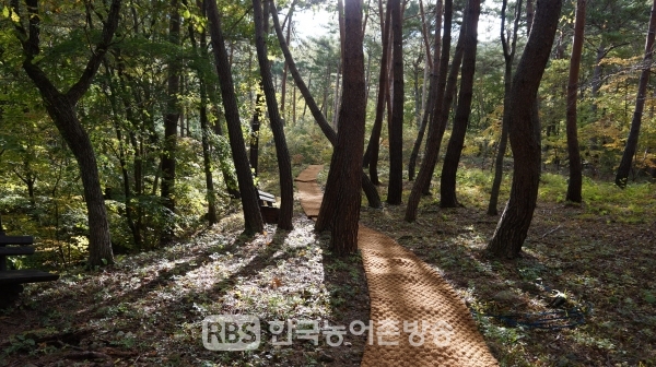 국립 검마산 자연휴양림 산책로(사진=산림청)