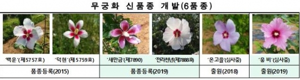 산림환경연구소 무궁화 육종연구 성과(사진=전북도청)