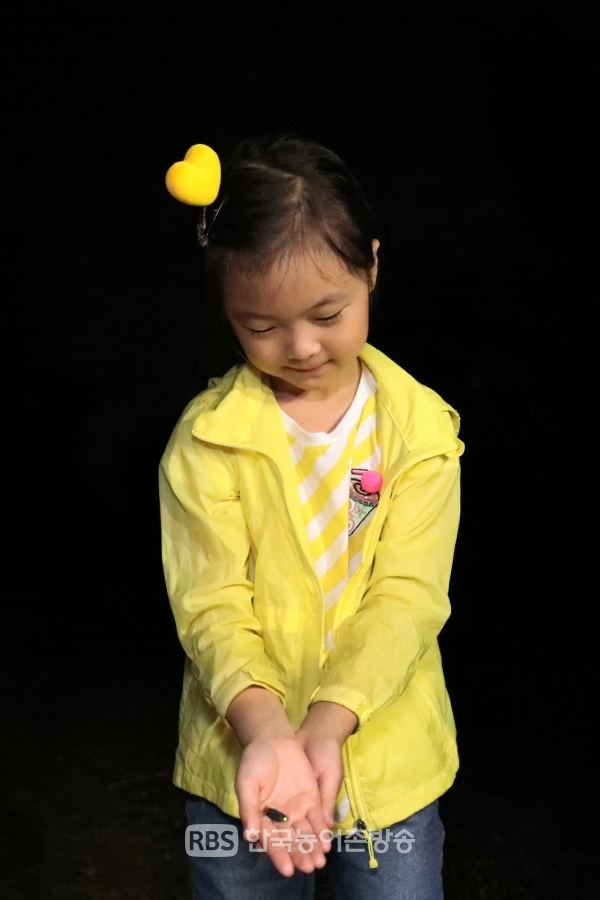 어린이가 반딧불이를 채취한 모습(사진=무주군 제공)