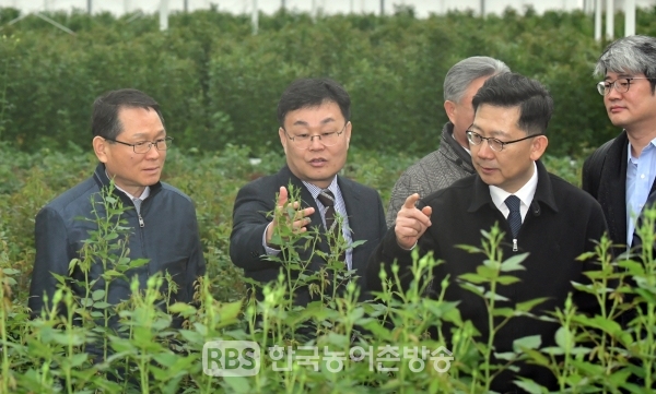 장수 천천면 한 화훼농가를 찾은 김현수 장관 모습(사진=장수군)