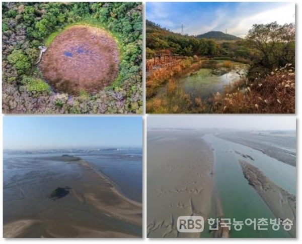 서귀포, 고창, 서천 3곳이 람사르습지도시 인증에 도전한다. 사진: 환경부