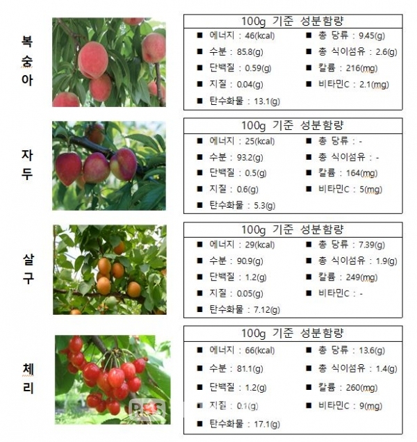 자료출처: 농촌진흥청 『국가표준식품성분표(개정판)