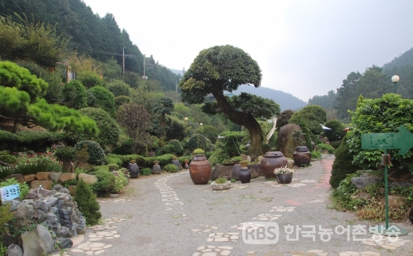 경남 통영에 있는 춘화의 정원은 5000여 개의 분재로 이루어진 민간 정원이다.