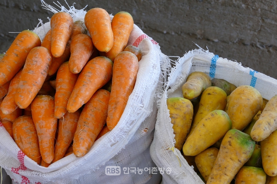 우즈베키스탄 사마르칸트 시장의 농산물(사진=Pixabay)