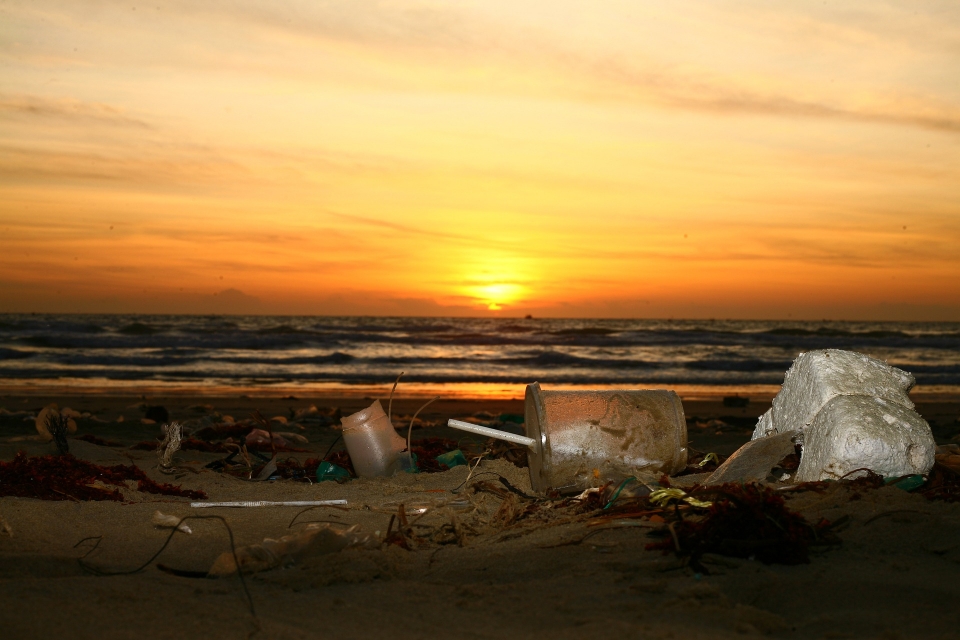 플라스틱 쓰레기로 오염된 해변 (사진=Pixabay)