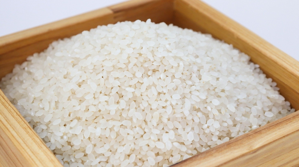 쌀 Rice (사진=Pixabay)