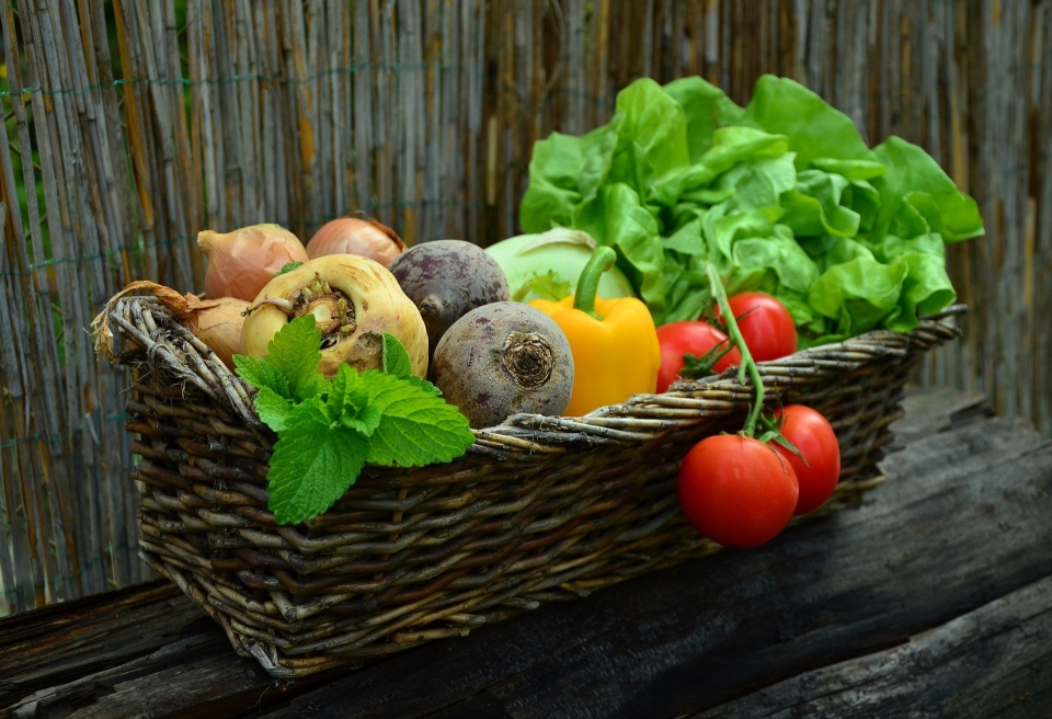 Vegetables_채소와 과일 (사진=Pixabay)