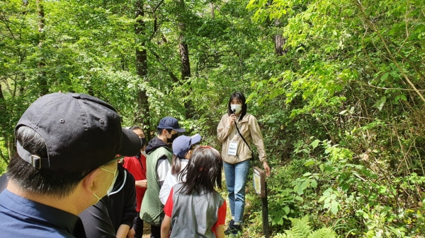 2021년 환경성질환 숲캠프(사진=한국산림복지진흥원)
