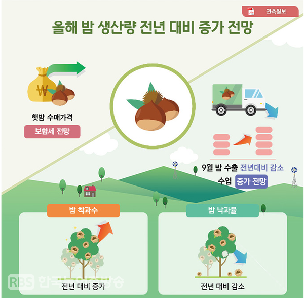 밤 가격 전망 이미지  [사진제공]=한국농촌경제연구원