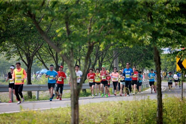 전국적으로 개최되는 ‘의병마라톤대회’가 지난해 이어 올해도 코로나19로 취소됐다. 사진은 지난 2019년 개최된 의병마라톤대회.