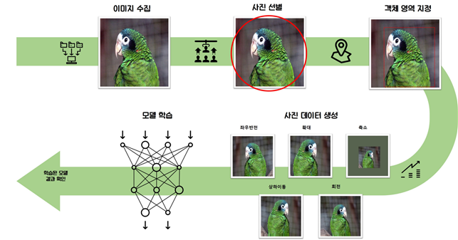 딥러닝 기반 객체인식 기술을 이용한 앵무새 종 판별 연구 체계도/[사진 제공=국립생물자원관]