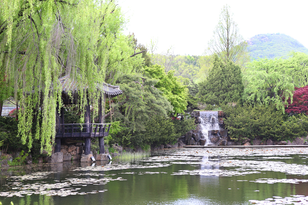 2005년 개장한 벽초지 수목원은 6개의 테마와 27개의 동서양 정원이 꾸며져 있는 경기 10대 유망 관광지이다.  ⓒ 경기뉴스광장 허선량