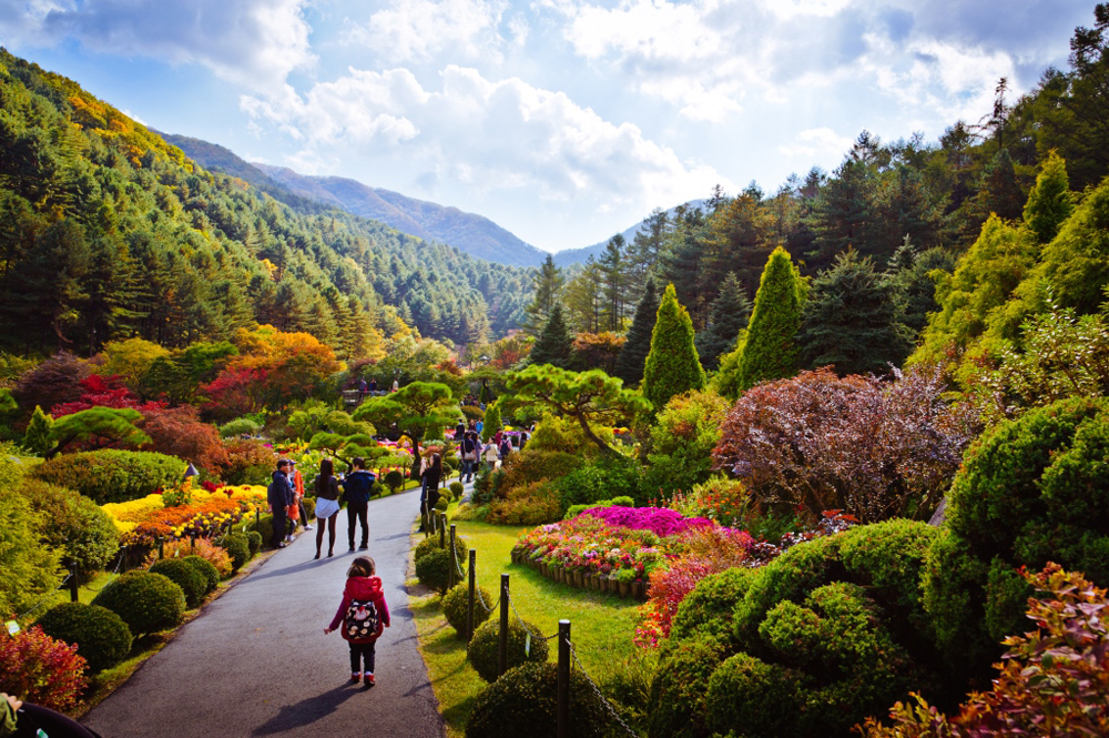 아침고요수목원은 20여개의 실외 정원과 실내 시설, 약 5,000여 종의 꽃과 나무 200만 본이 어우러져 사계절 내내 다채로운 한국의 자연을 감상할 수 있다.  ⓒ 경기도청