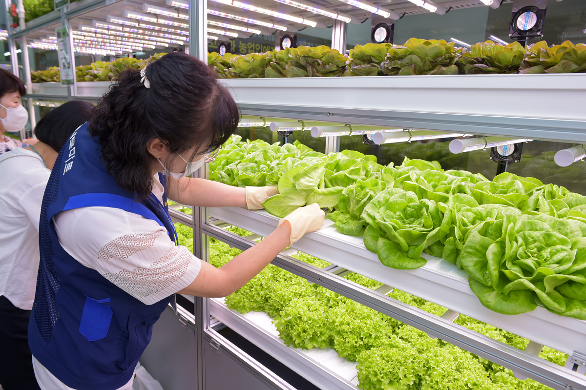 스마트팜 (기사 내용과 직접 관련 없음) [뉴스1]