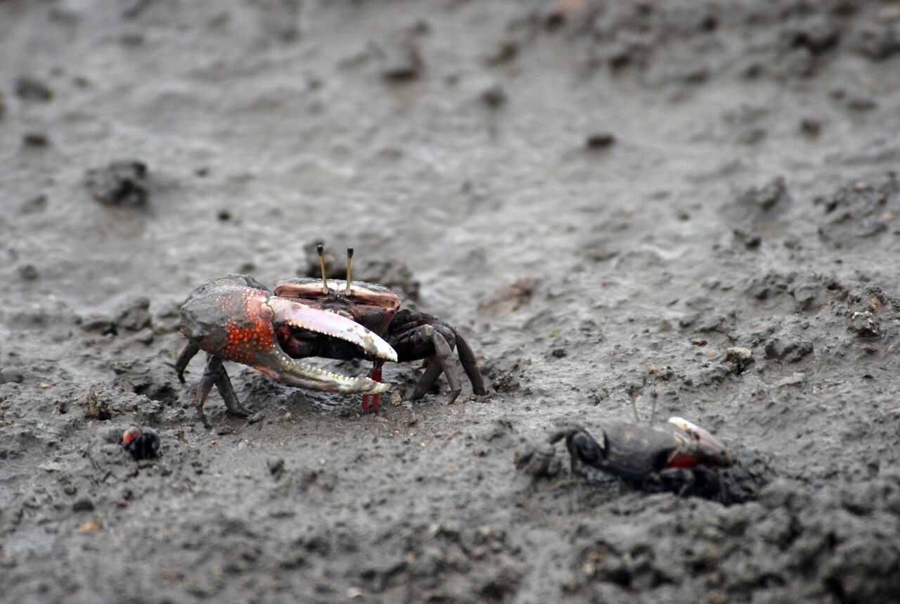 위 사진은 기사 내용과 직접적인 관련이 없습니다. [뉴스1]