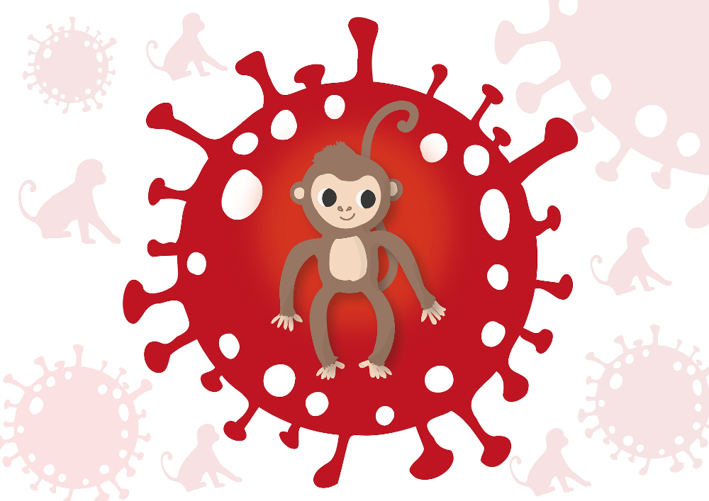 최근 유럽과 북미를 중심으로 유행하는 ‘원숭이두창’은 ‘두창(천연두의 정식 명칭)’과 유사한 증상을 보이는 바이러스성 인수공통감염병이다.   ⓒ 픽사베이 출처