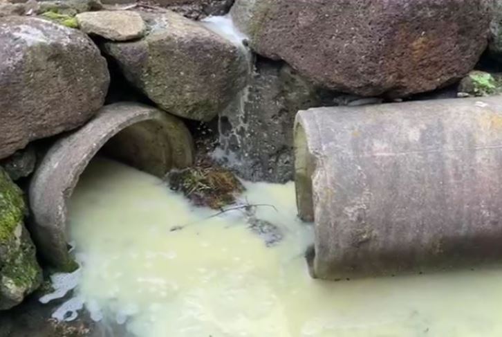 농약이 유출되는 모습 [제주도 자치경찰단]