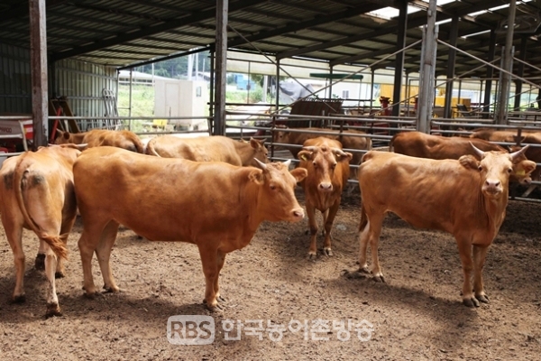 농식품부·환경부 가축분뇨 활용 산업 육성 맞손 가축분뇨 에너지화