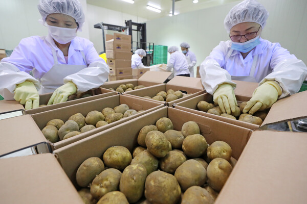 학교 급식용 농산물. 위 사진은 기사 내용과 직접적인 관련이 없습니다. [뉴스1]