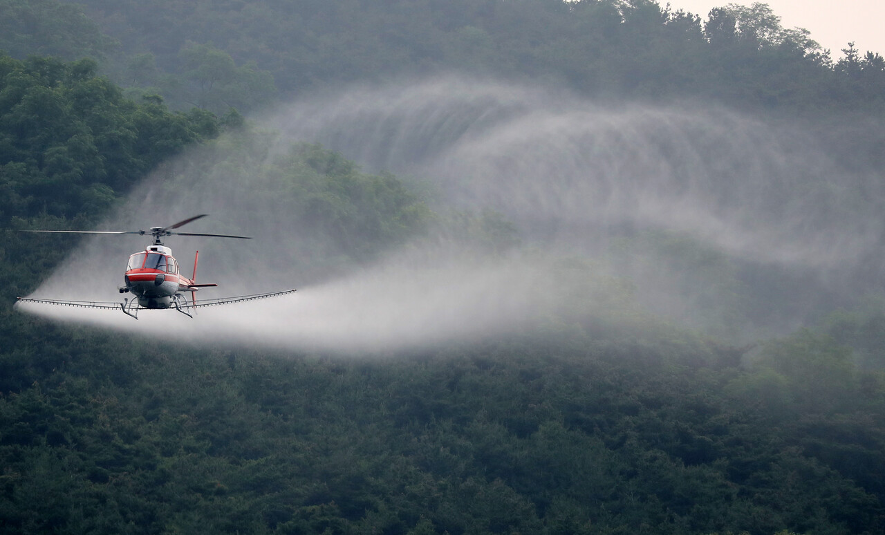 소나무재선충병 확산을 막기 위한 항공방제 모습 [뉴스1]