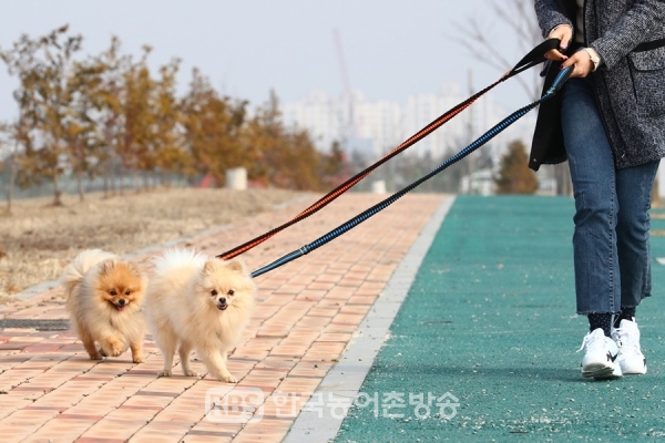 반려견 [농진청]