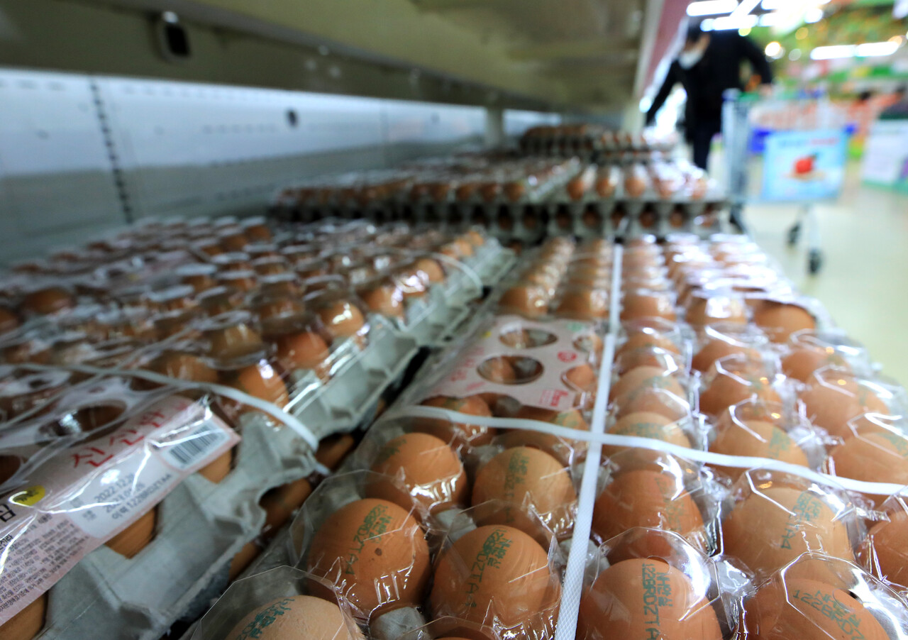 1월 4일 서울의 한 대형마트에 국산 계란이 진열돼 있다. (사진은 기사 내용과 무관함) [뉴스1]
