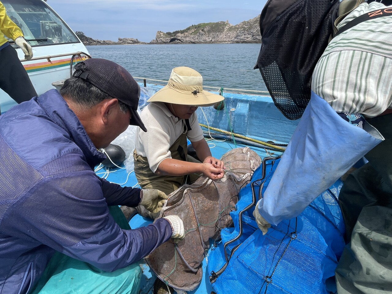 가리비 양식 [군산시]