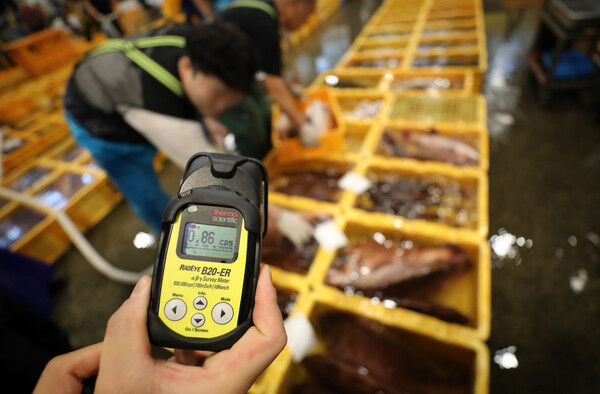 노량진 수산시장 내 경매장에서 시장관리 직원이 경매에 앞서 일본산 활어의 방사능 수치를 측정하고 있다. [뉴스1]