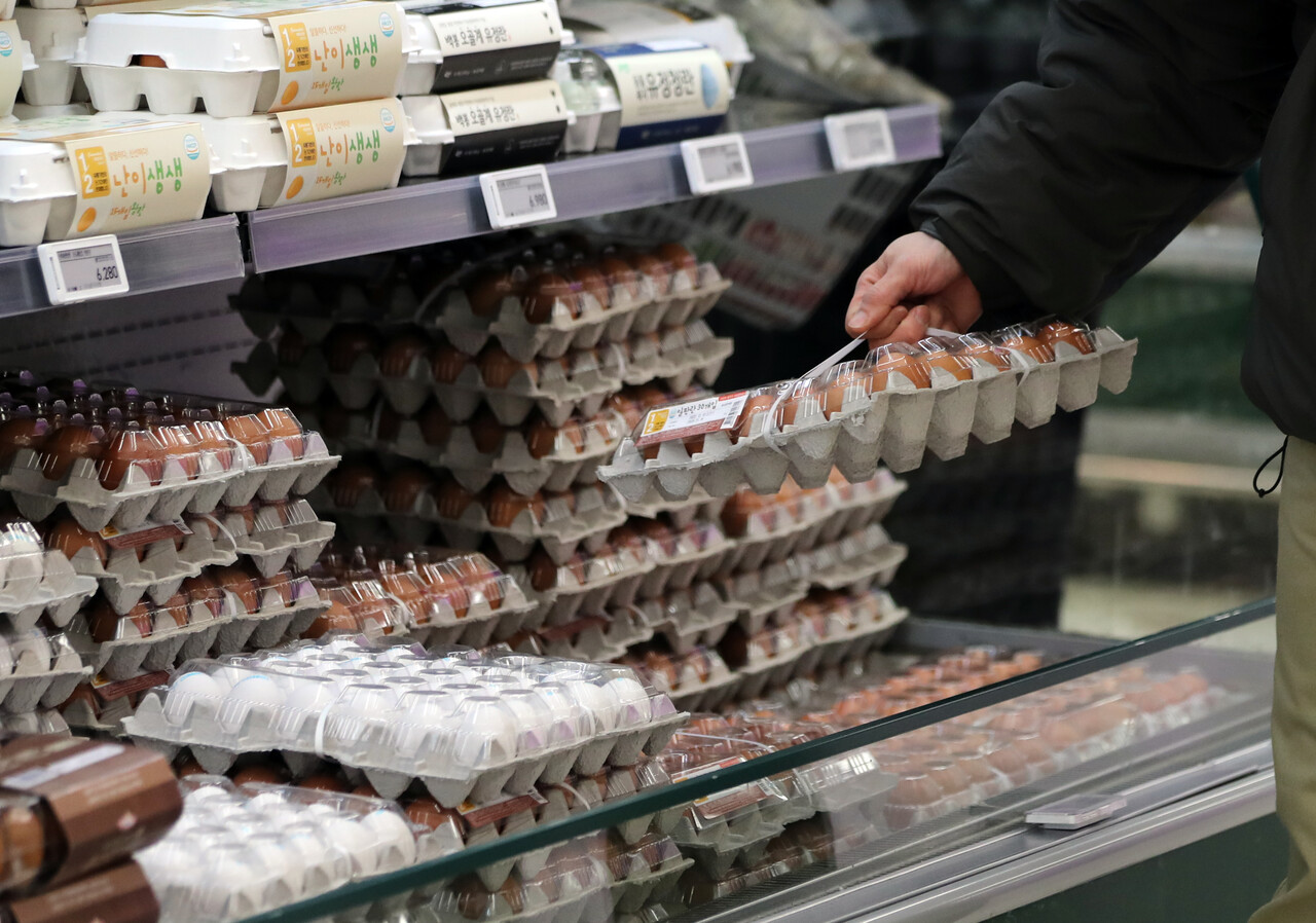 마트에서 계란을 구매하는 소비자들 (기사 내용과 직접 관련 없음) [뉴스1]