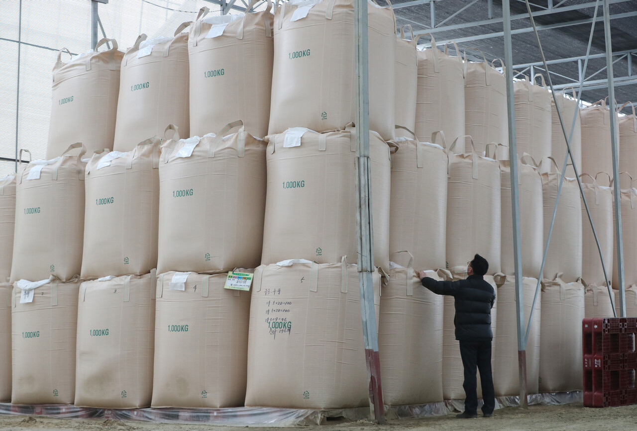 미곡종합처리장에 보관된 정부 수매 쌀 [뉴스1]