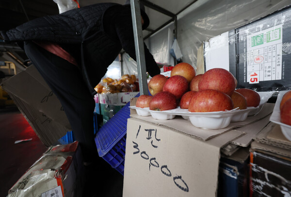 12일 오전 서울 송파구 가락농수산물도매시장에서 상인이 과일을 정리하고 있다. /사진=뉴스1