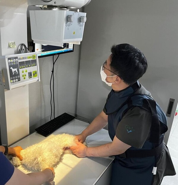 수의사가 반려동물을 치료하고 있다. (사진제공=경상남도)