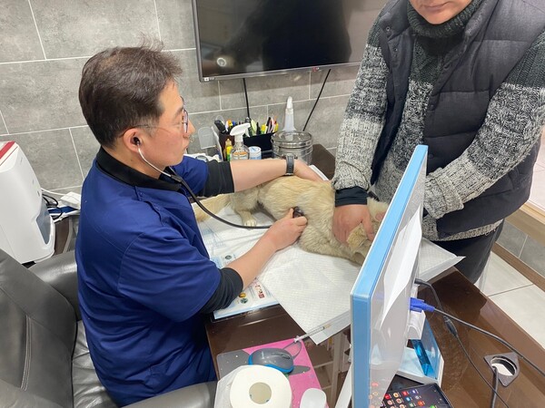 동물병원에서 수의사가 반려동물을 진료하고 있다. (사진제공=경상남도)