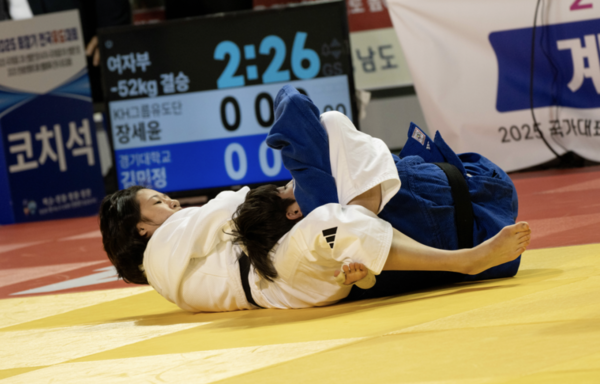  [사진 제공=주도바인코리아]