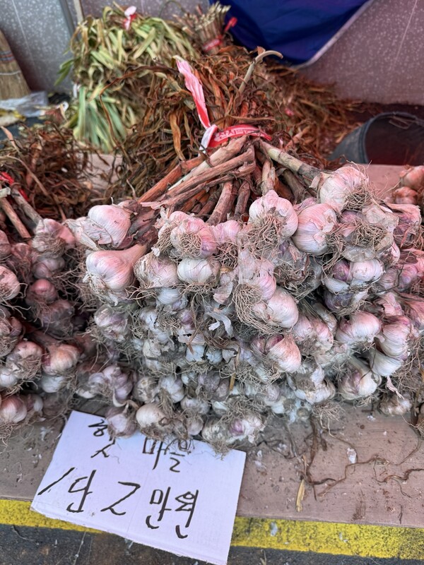 사진=평택 자연방한의원