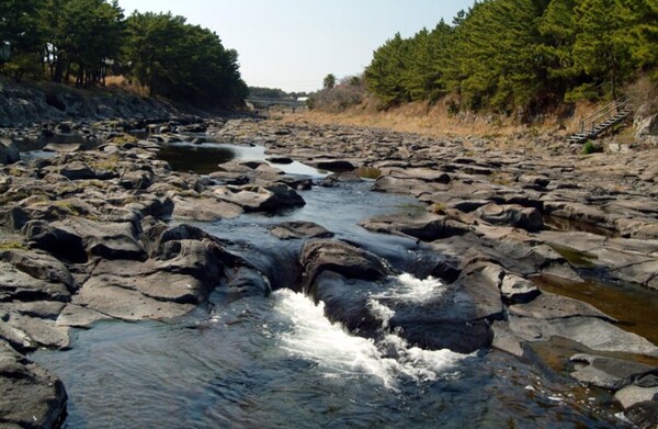 강정천유원지. [사진=제주관광협회]