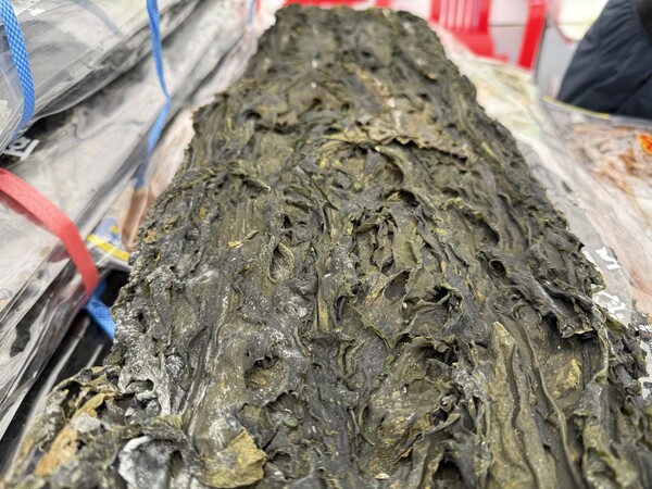 사진=평택 자연방한의원