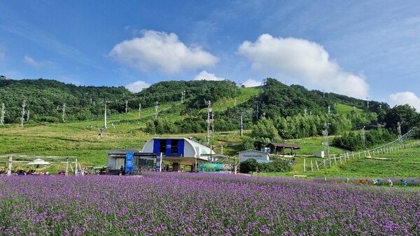 [사진 제공=KH그룹]