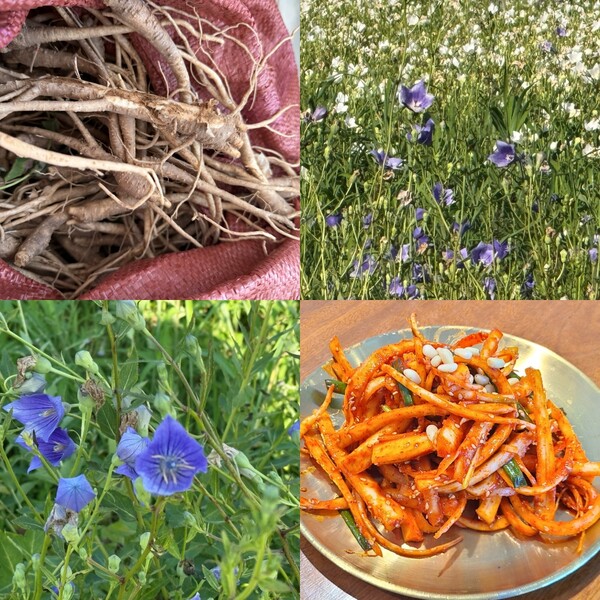 사진제공=평택 자연방한의원