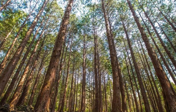 사진=WE호텔 제주 홈페이지