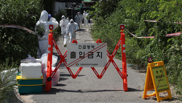 방역작업 실시되는 돼지열병 발생농가. [사진=뉴스1]
